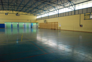 SanchoRamirez3-300x201